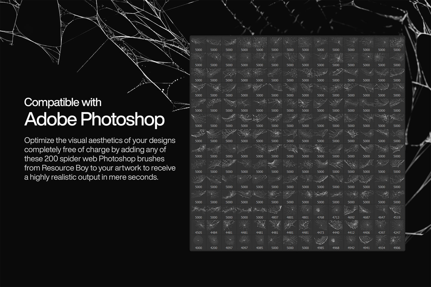 200 Spider Web Photoshop Brushes