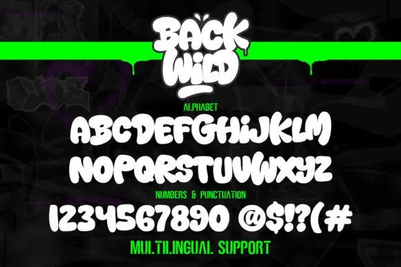 Back Wild Font Handsign.Studio