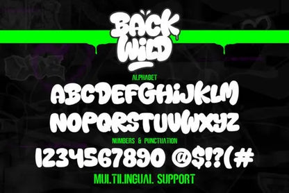 Back Wild Font Handsign.Studio
