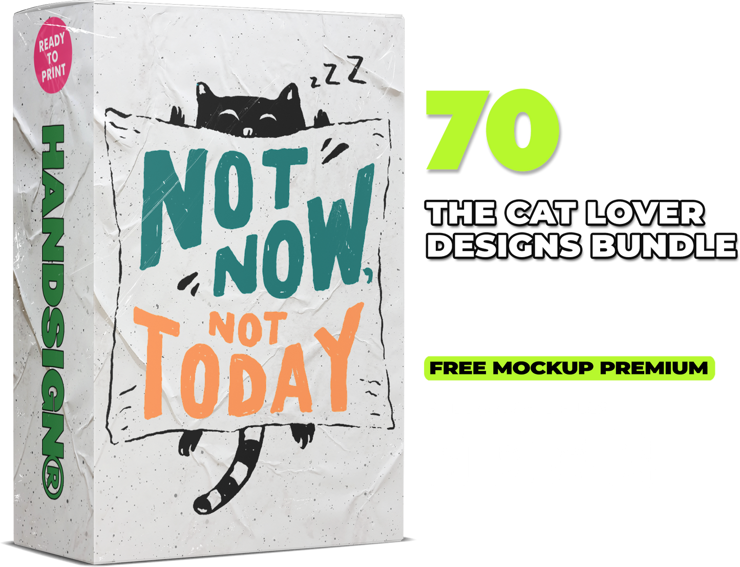 70 The Cat Lover SVG Designs Bundle